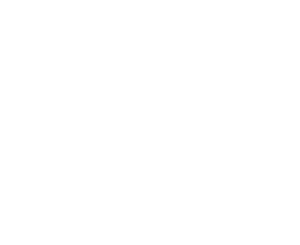 CodevynSolutions_LOGO_copy_01 (1)